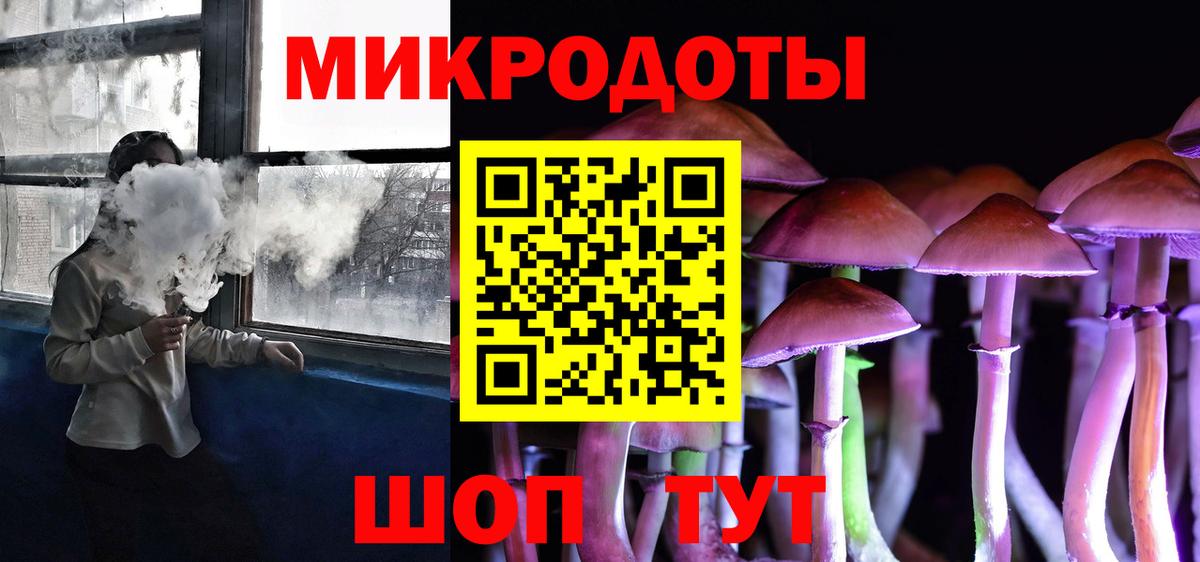 Галлюциногенные грибы Psilocybe Ейск