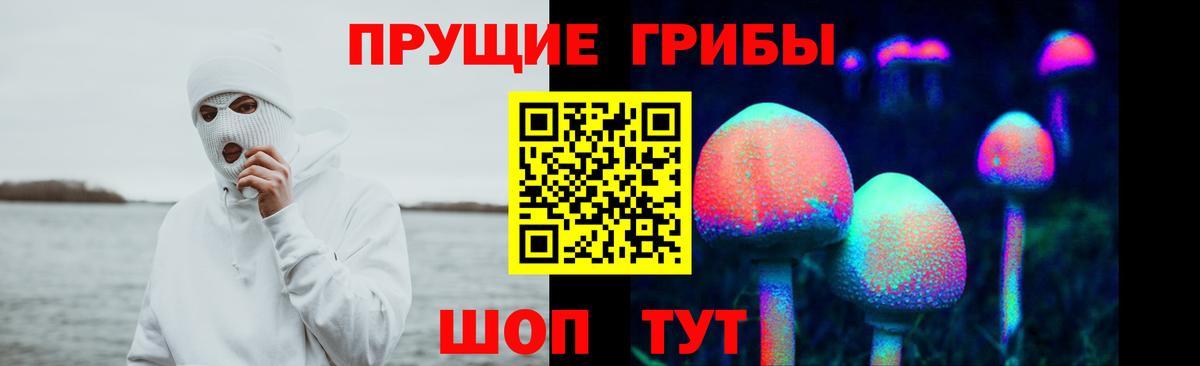 Галлюциногенные грибы Psilocybe  Вход с VPN  Галлюциногенные грибы GOLDEN TEACHER  Ейск 
